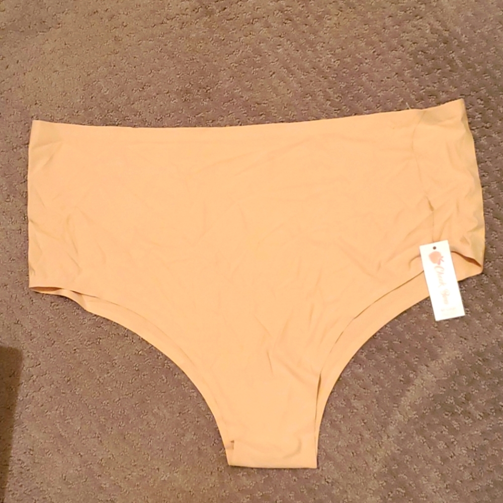 NEW PLUS size pantie size 4X. NEW WITH TAGS